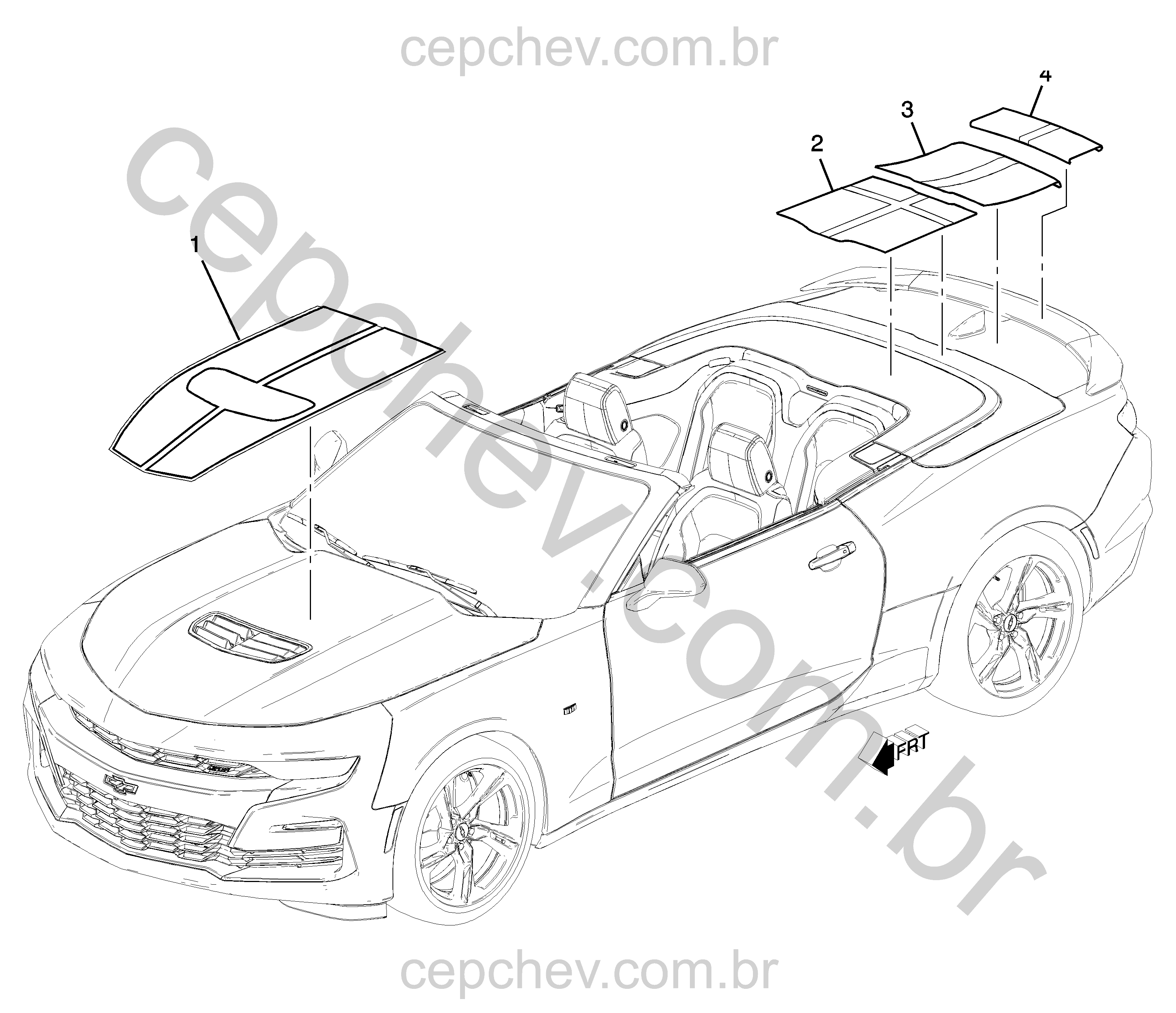 Faixas rally e decalques para carroceria (2019–2024)
