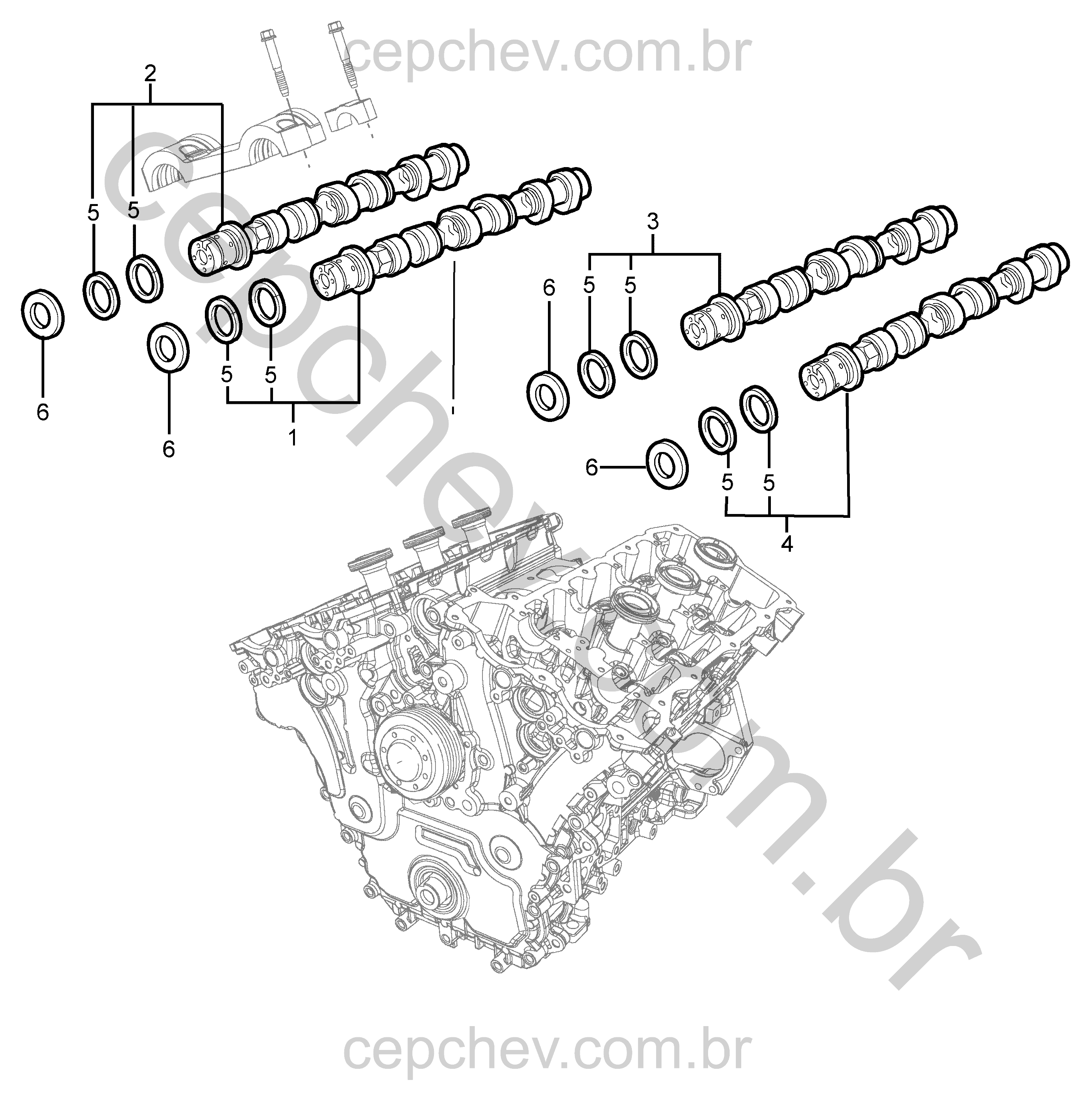 Motor V6 com comando e eixo de válvulas (anel de encosto Ø51 mm) (1)