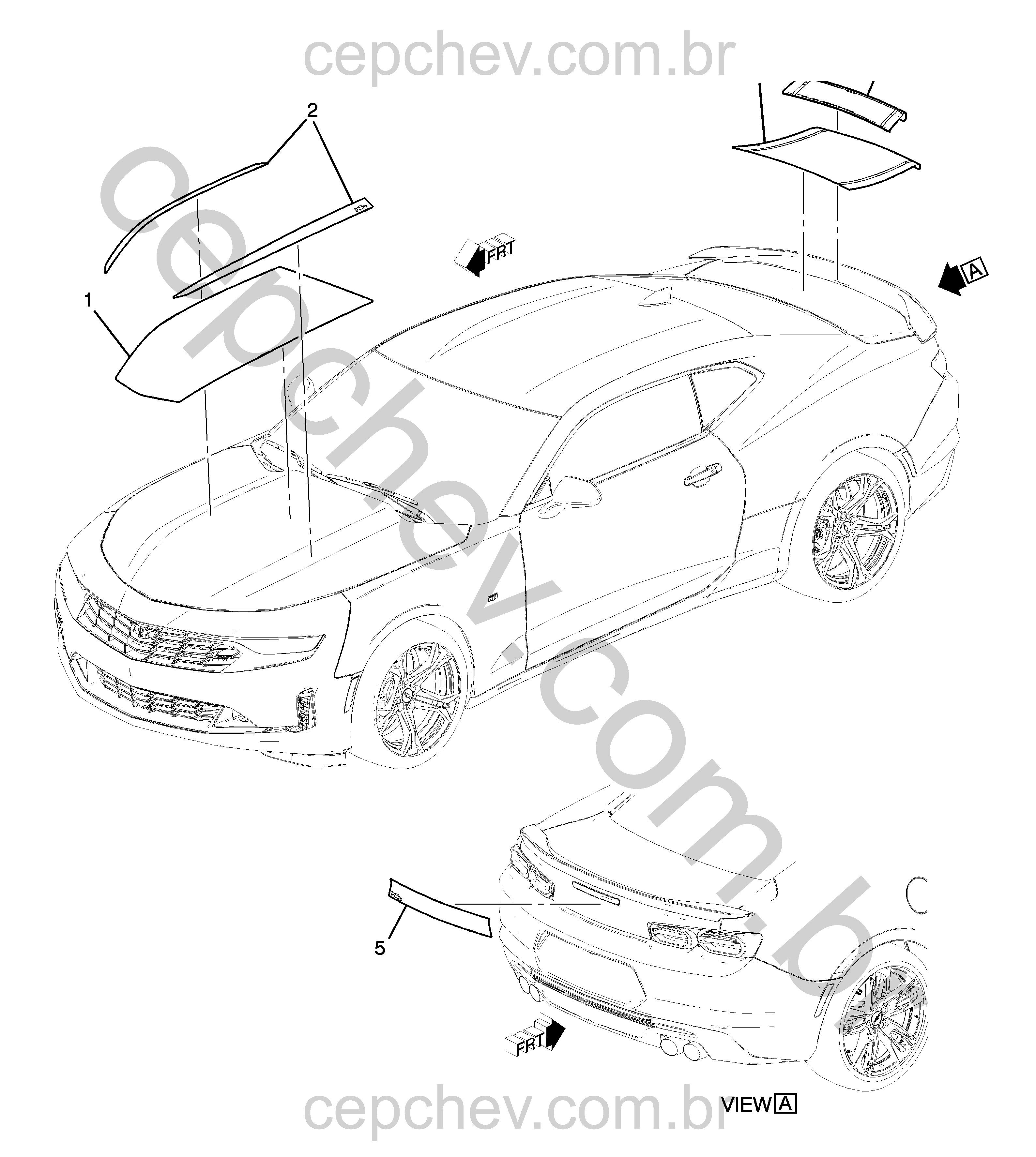 Faixas e decalques para carroceria (2020–2024)