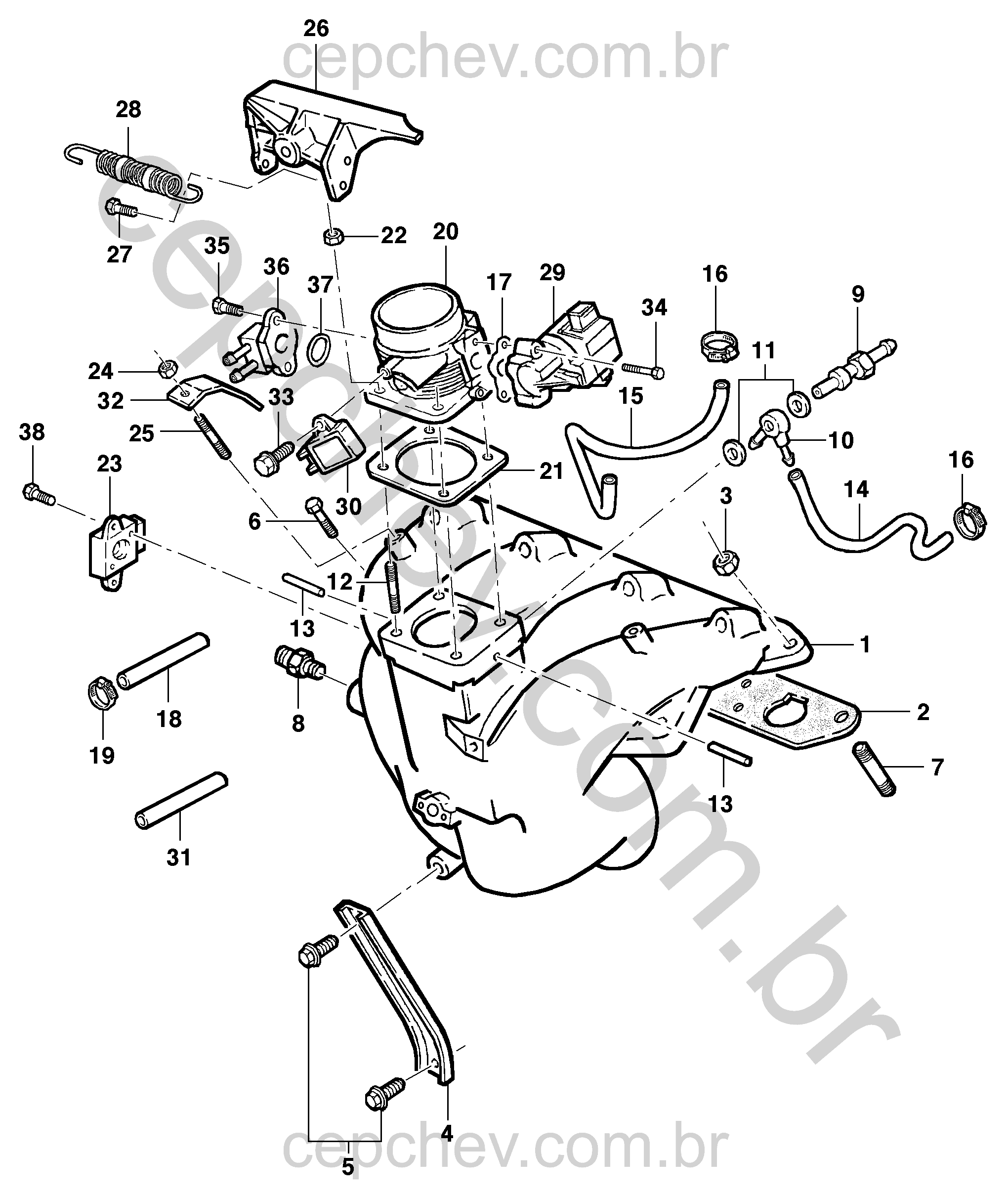 Coletor de admissão e componentes do motor 16V (L34/LE6)