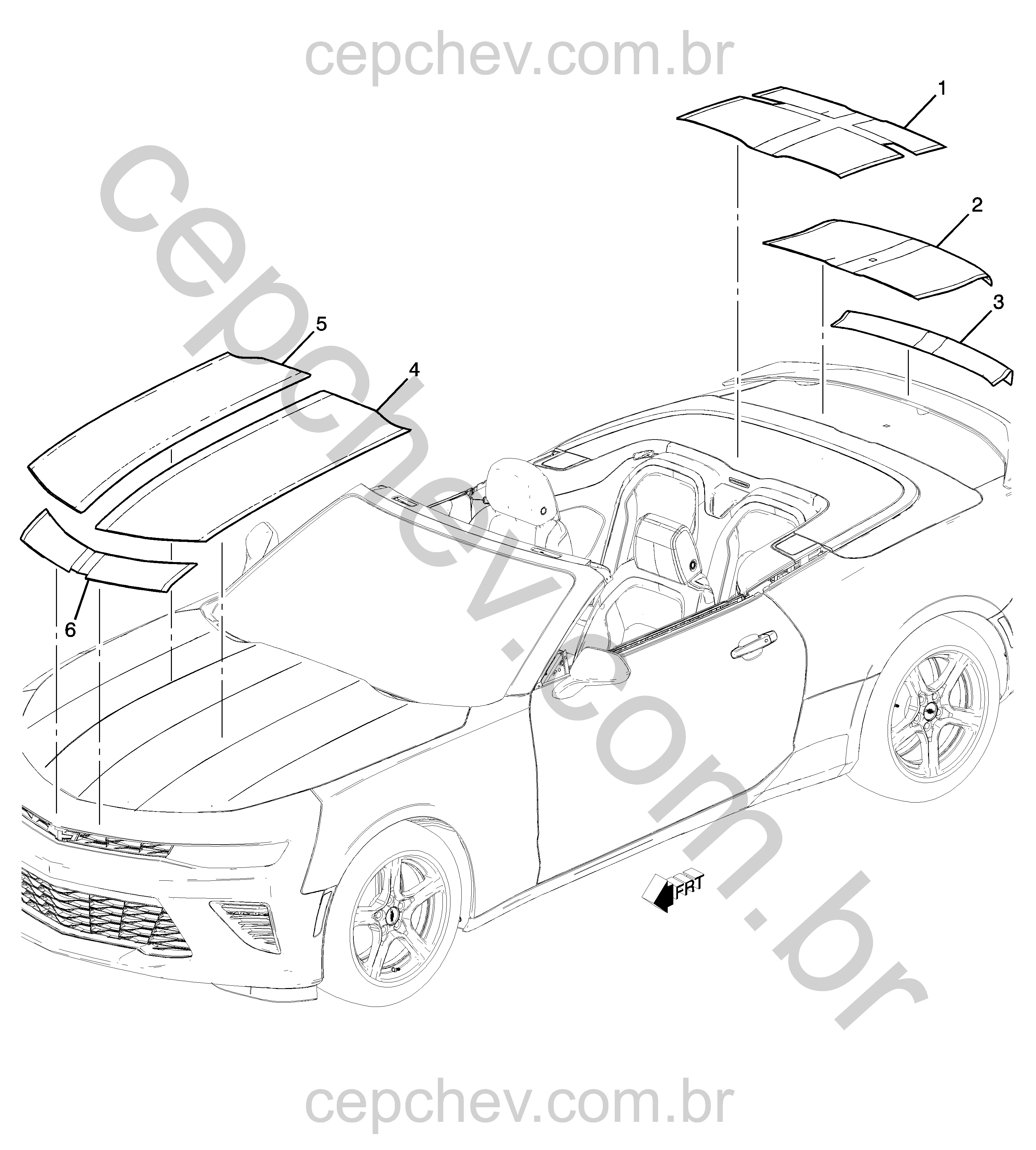 Faixas rally e decalques para carroceria (2016–2018)