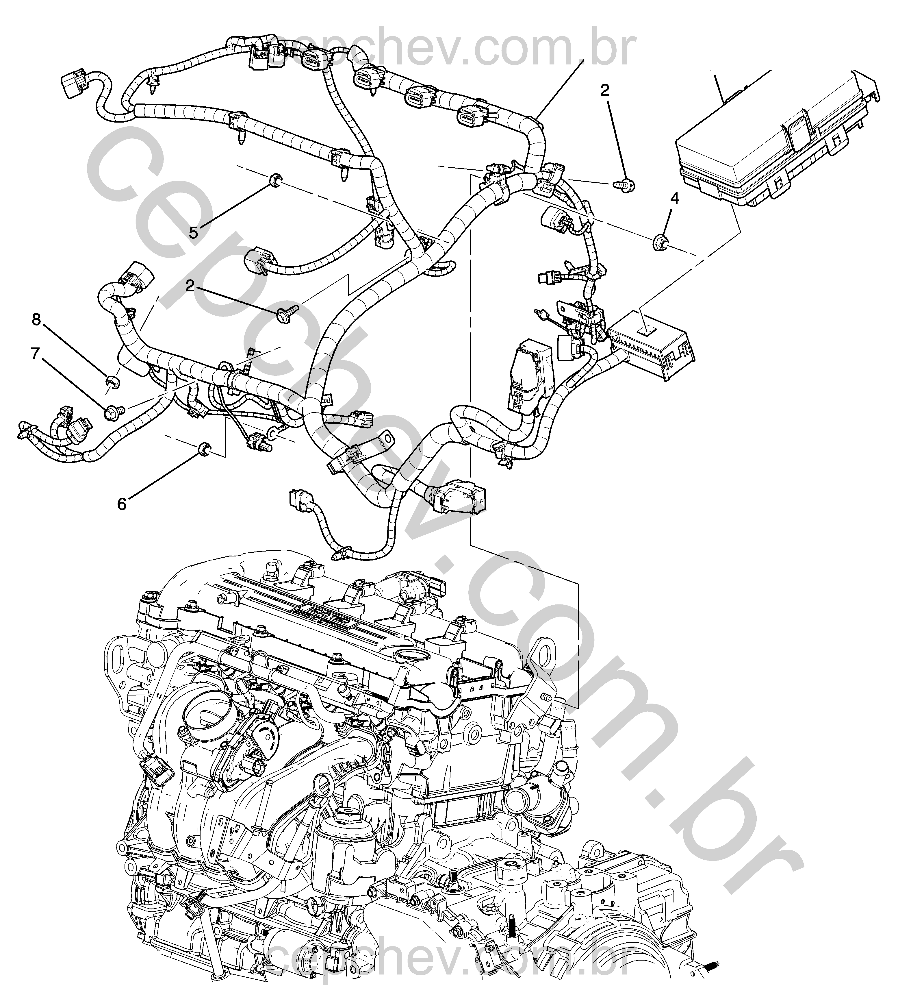 Chicote e fiação do motor LE9/2.4V (2010)