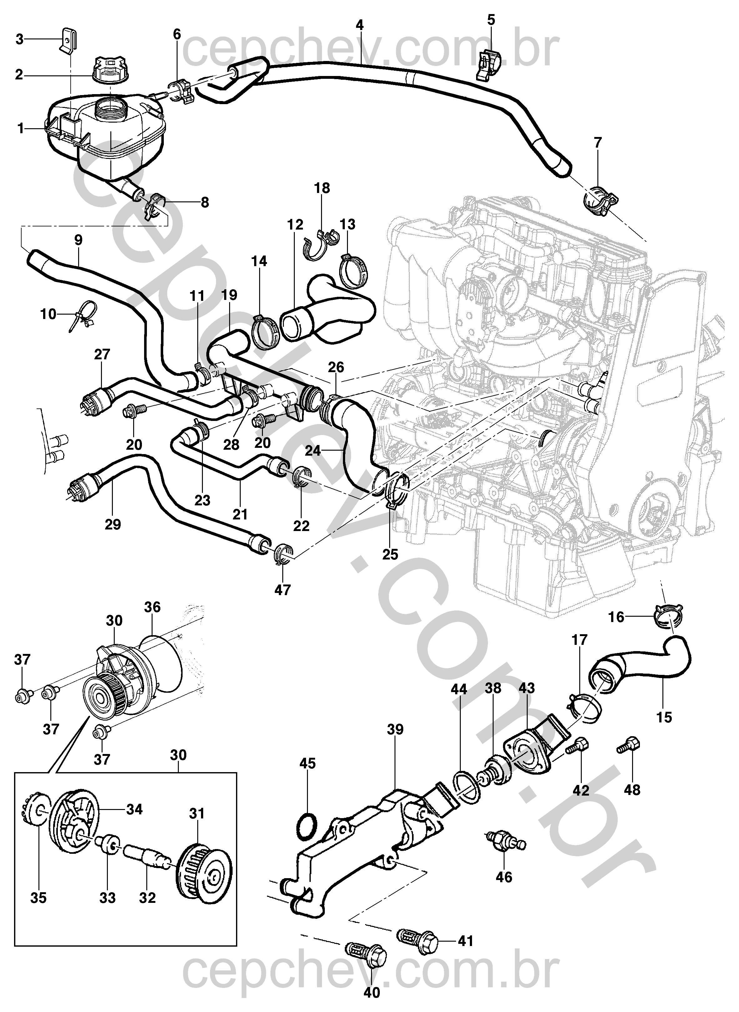 Mangueiras, bomba de água e termostato - motor 8V
