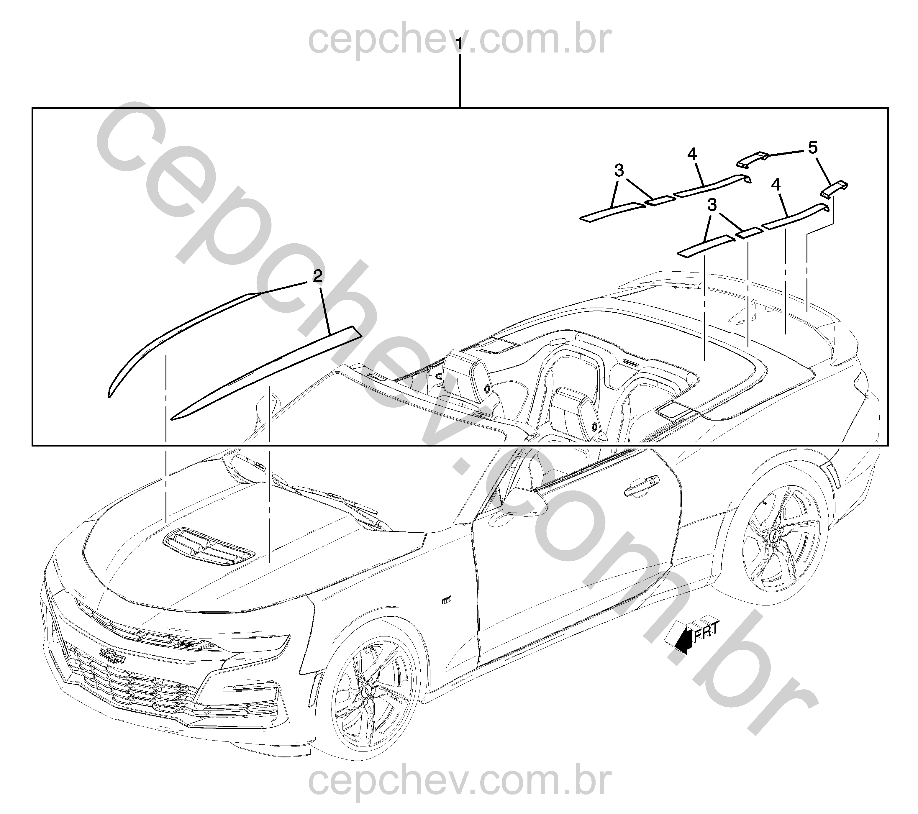 Faixas e decalques para carroceria (2019–2024) instalados pela concessionária