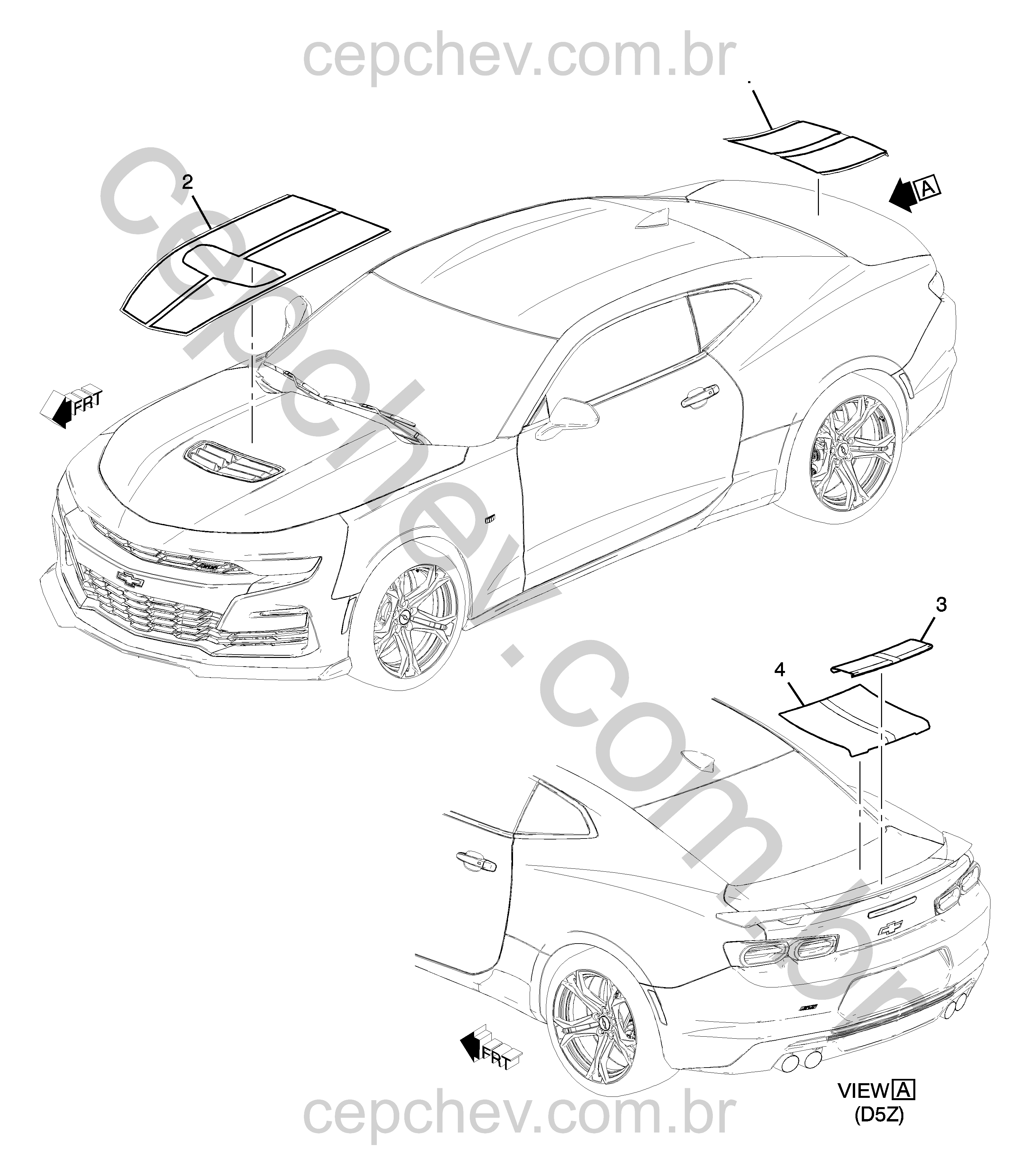 Faixas e decalques para carroceria rally (2019–2024)