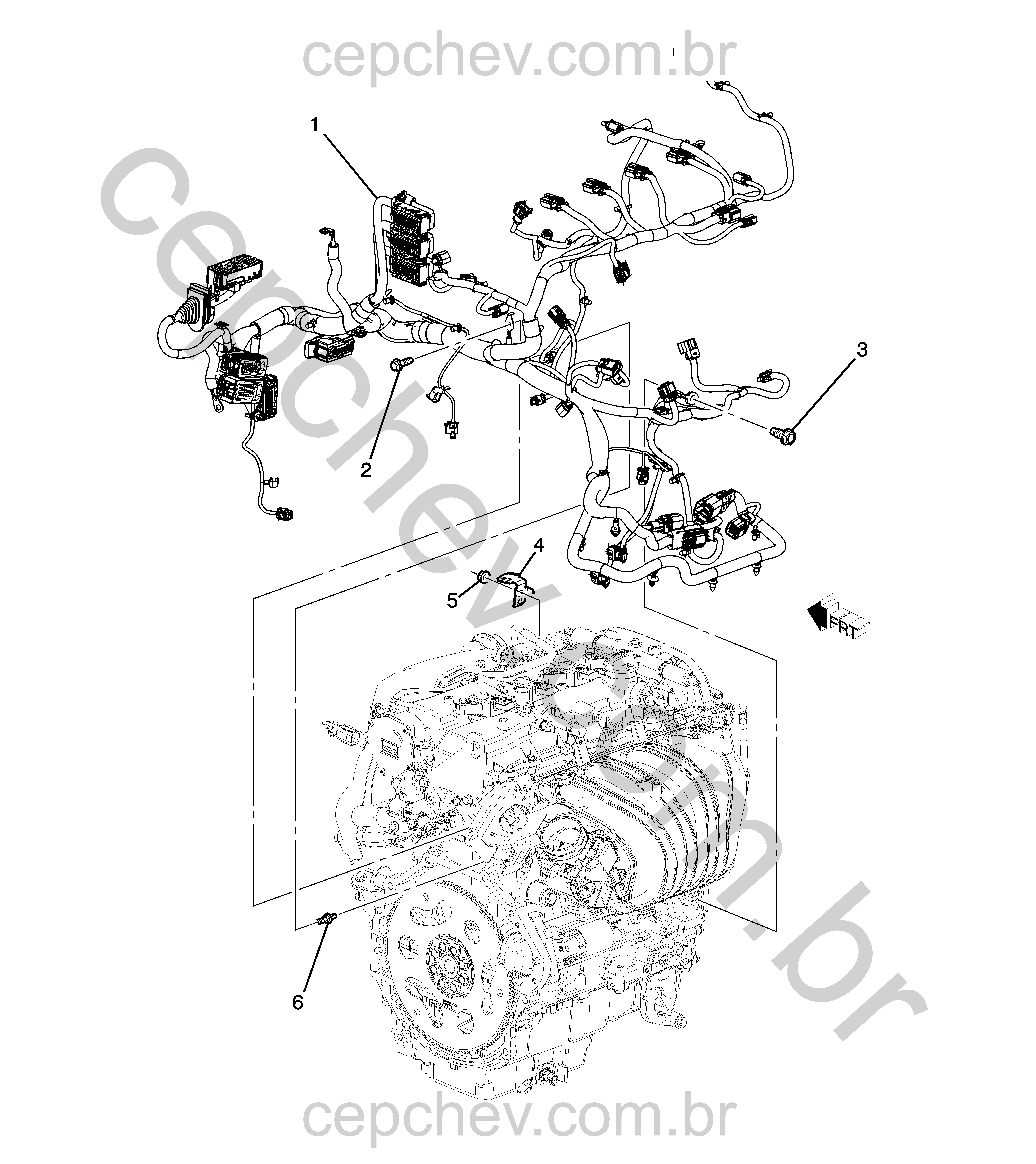 Chicote e componentes do motor (LTG/2.0X) (2020–2021)