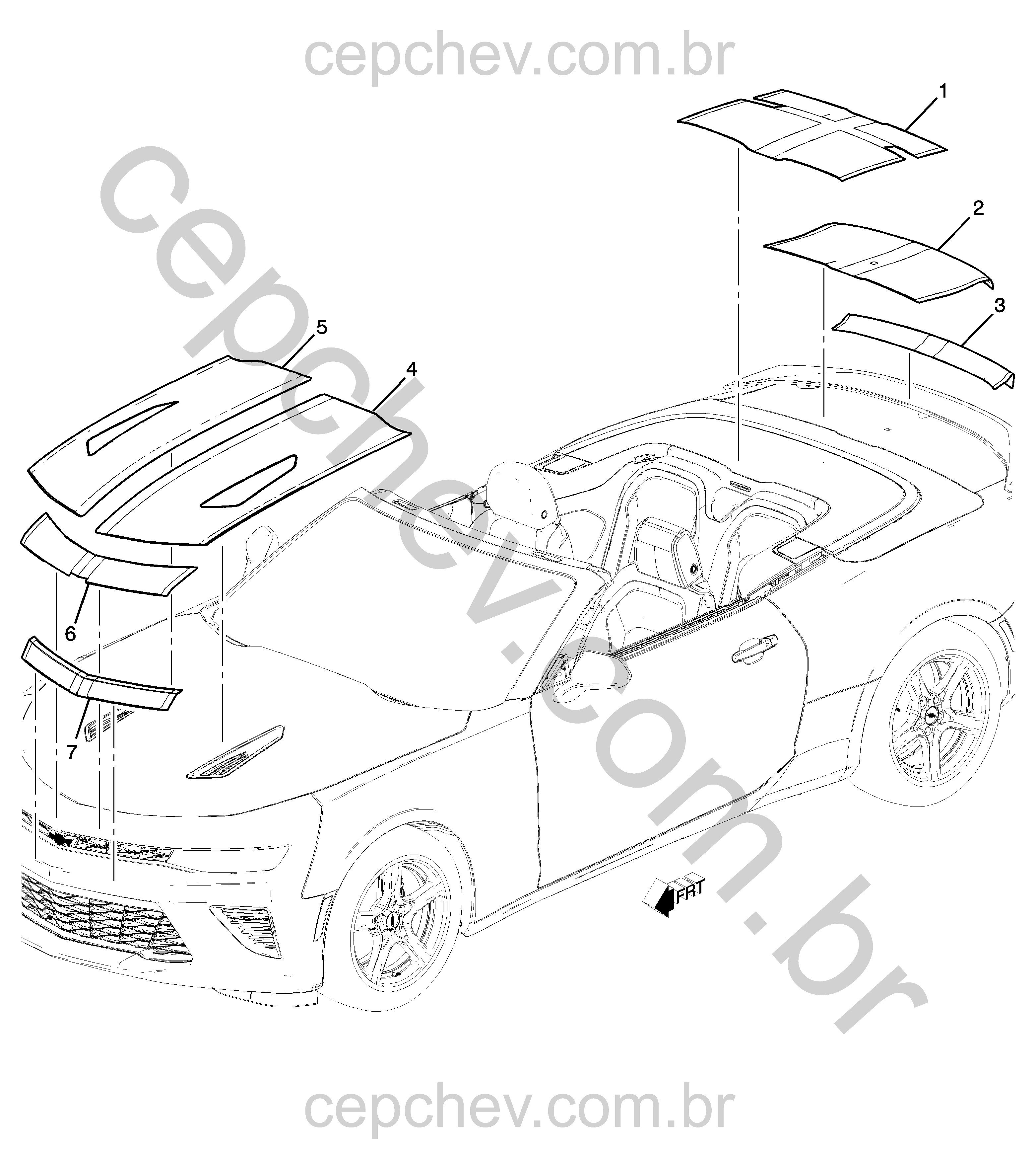 Faixas e decalques para carroceria rally (2016–2018)