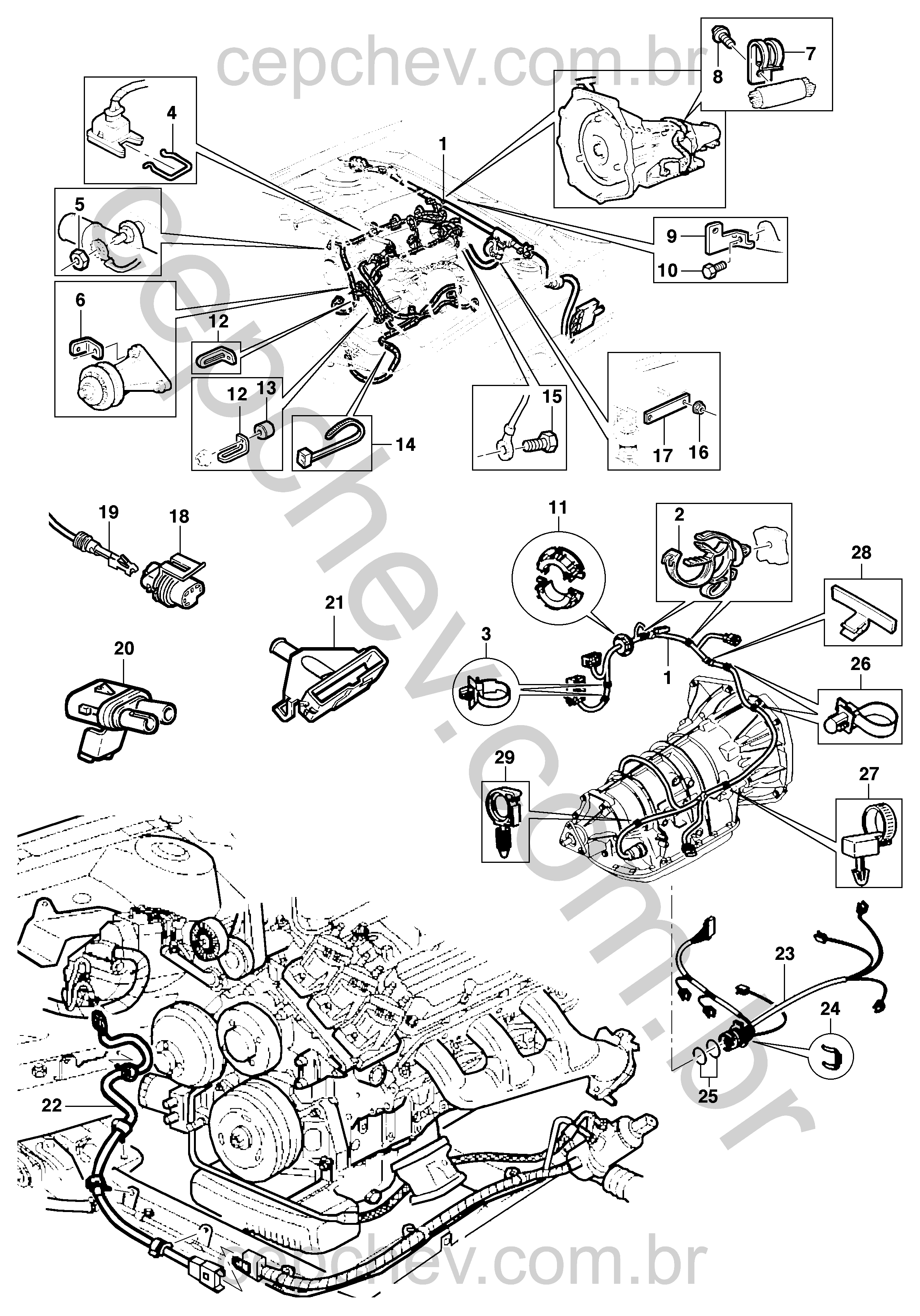Chicotes do motor, transmissão automática e direção hidráulica