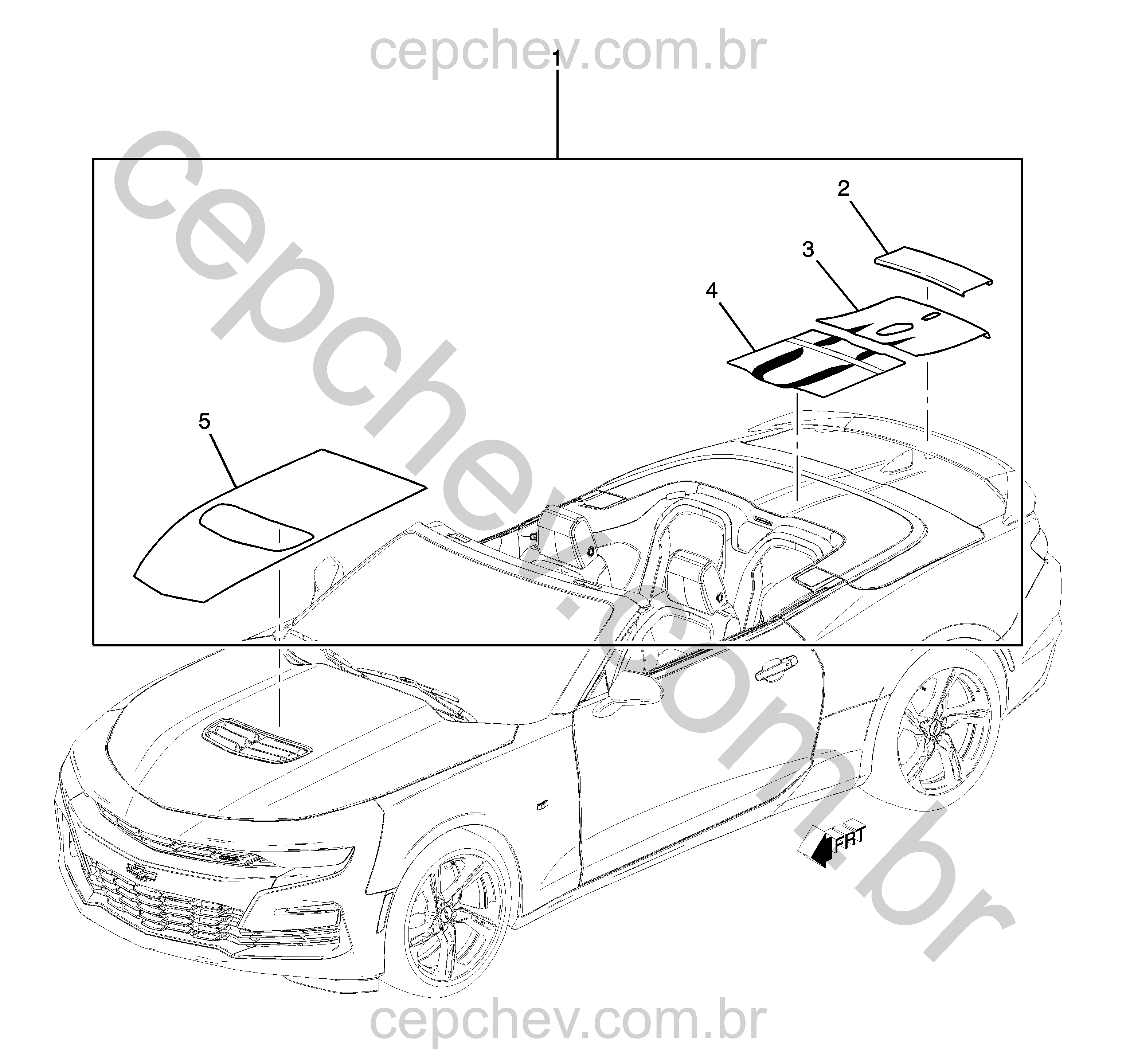 Pacote decalcomania e faixa Stinger central (2019–2024) (1)