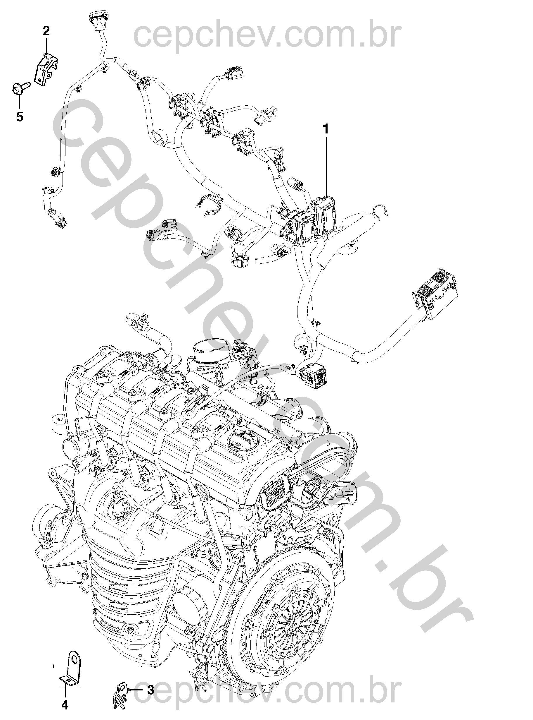 Chicote e suportes de fiação do motor e transmissão