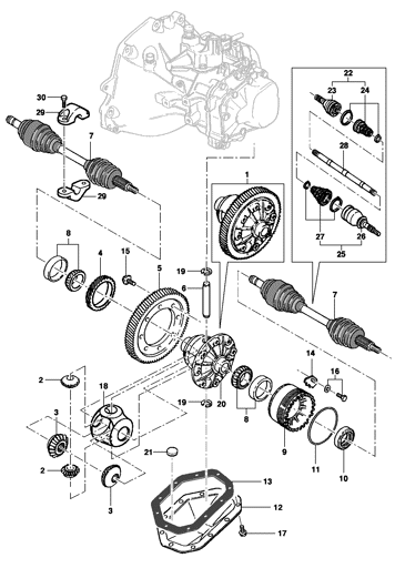 Imagem de Diferencial e árvore homocinética