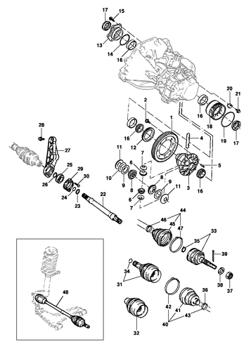 Imagem de Diferencial e árvore homocinética