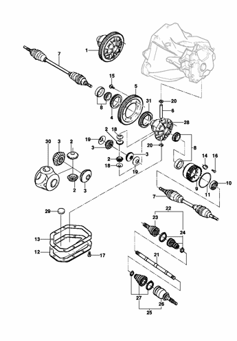 Imagem de Diferencial e árvore homocinética